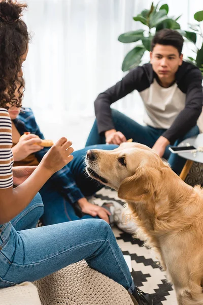 Imaginea Decupată Adolescentului African American Care Bucată Pizza Animalului Companie — Fotografie, imagine de stoc