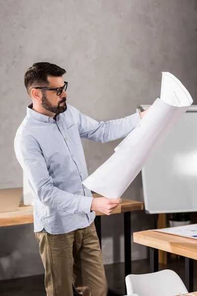 Handsome Architect Looking Blueprint Office — Free Stock Photo