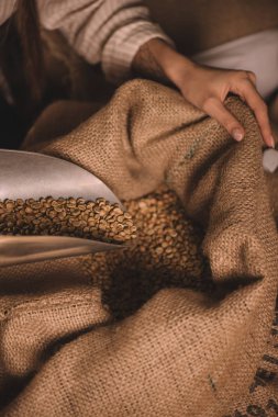 partial view of worker gathering coffee beans with metal scoop from sack bag clipart