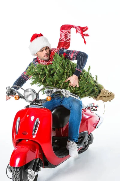 Людина Капелюсі Шарфі Тримає Різдвяну Ялинку Під Час Їзди Червоному — Безкоштовне стокове фото