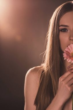 kırpılan gerbera çiçek, Brown'un arka ışık tutan çekici kız görünümünü