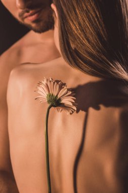 Arkadan sarılma ve gerbera çiçek, izole kahverengi üzerine tutarak ihale çift görünüşü 