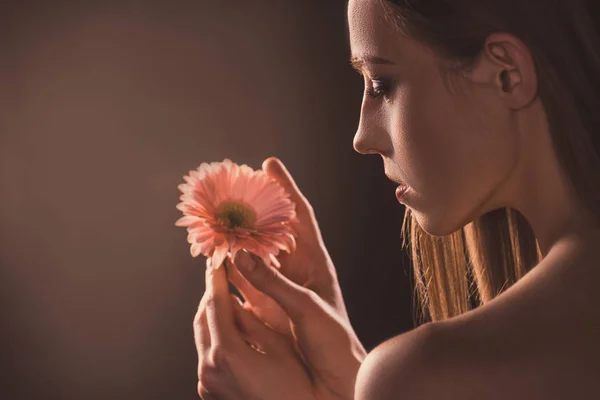 Приваблива Ніжна Дівчина Тримає Квітку Гербери Коричневому — Безкоштовне стокове фото