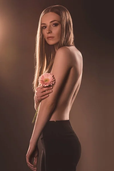 Bella Ragazza Tenera Con Fiore Gerbera Marrone — Foto stock gratuita