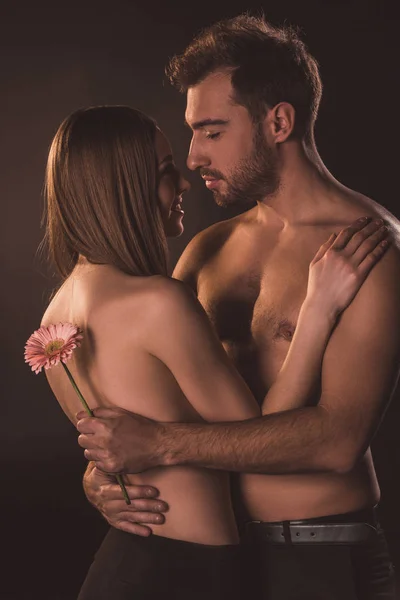 Tender Couple Hugging Holding Flower Isolated Brown — Stock Photo, Image