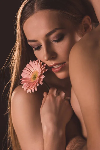 Par Macio Abraçando Segurando Flor Gerbera Isolado Marrom — Fotografia de Stock