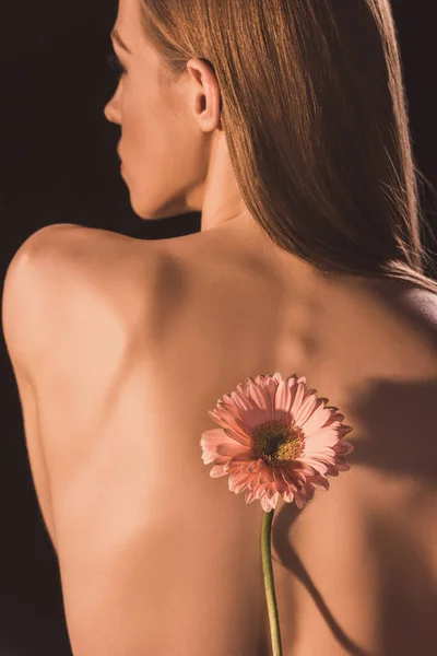 Visão Traseira Menina Nua Concurso Com Flor Gerbera Isolado Marrom — Fotografia de Stock Grátis