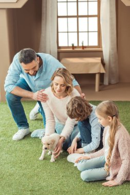 onların labrador köpek yavrusu ile karton evin bahçesinde oturan genç aile
