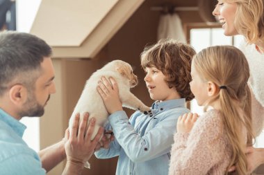 karton evin önünde köpek labrador yavrusu ile genç aile