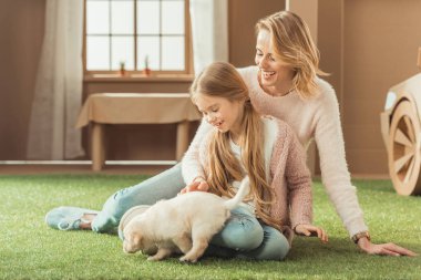 Anne ve kızı ile sevimli labrador köpek yavrusu karton evinin önünde oynarken
