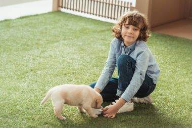 küçük çocuk onun labrador köpek yavrusu otla besleme