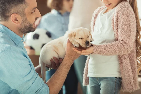 Isä Antaa Tyttärelleen Suloinen Labrador Pentu — kuvapankkivalokuva