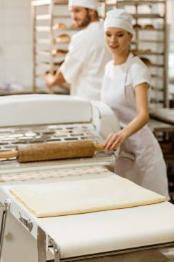 Bayan baker endüstriyel hamur merdane imalatı pişirme kullanarak