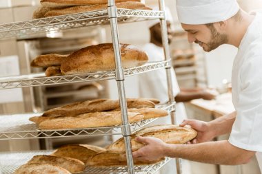 yakışıklı genç baker raf imalatı ekmek, taze ekmek somun koyarak
