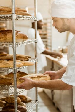 yakışıklı baker raf imalatı ekmek, taze ekmek somun koyarak