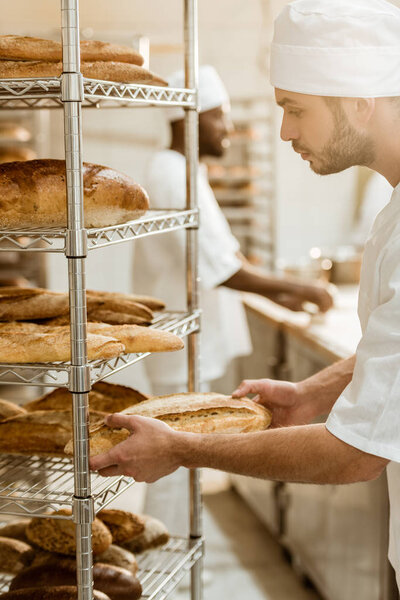 handsome baker putting fresh bread loaf on shelf at baking manufacture