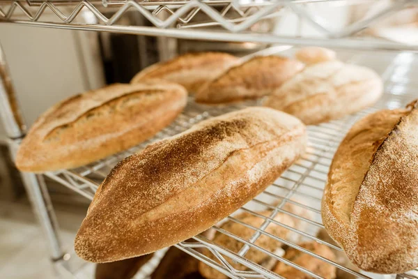 Prateleiras Com Saboroso Pão Recém Assado Fabricação Panificação — Fotografia de Stock