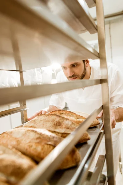 Nahaufnahme Eines Bäckers Der Bleche Mit Frischem Brot Auf Den — Stockfoto