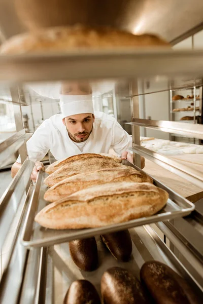 Knappe Baker Zetten Dienbladen Van Vers Brood Stand Bakken Vervaardiging — Stockfoto