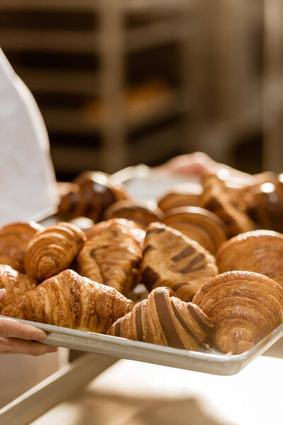 cropped shot of female baker holding tray with croissants on baking manufacture