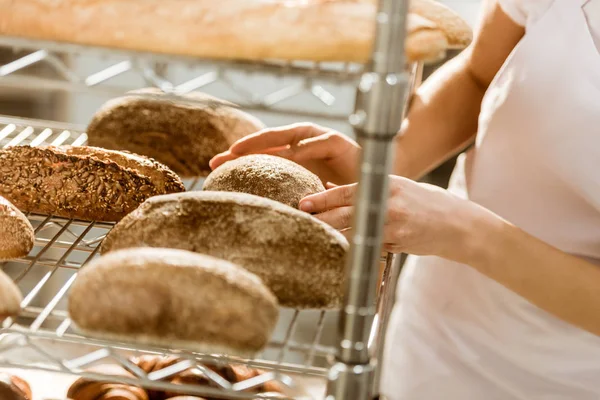 Bayan Baker Üretim Pişirme Üzerinde Taze Pişmiş Ekmek Somunları Incelenmesi — Stok fotoğraf