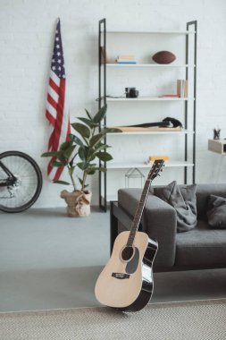 Amerikan bayrağı, raflar, saksı bitki, gitar ve koltuk modern oturma odası iç 
