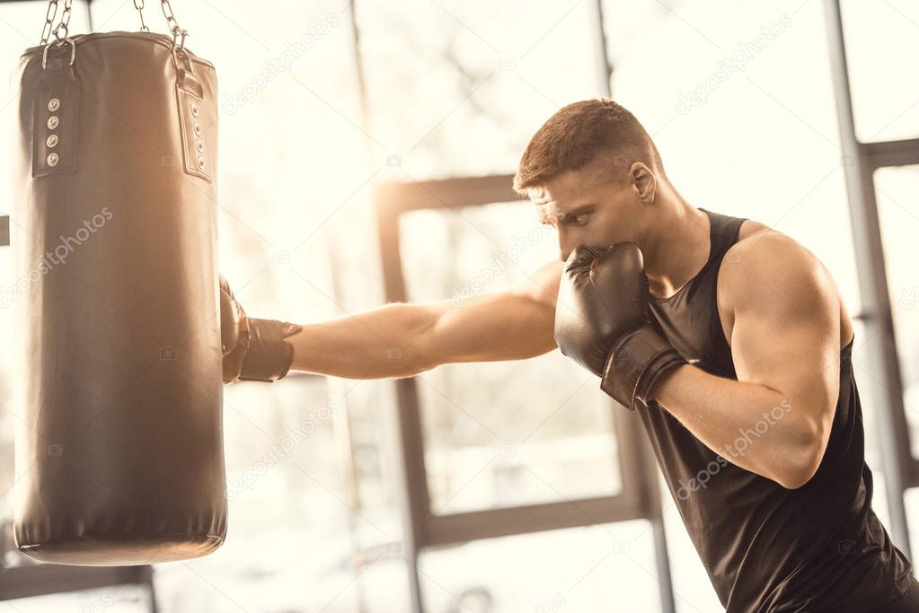 muscular young boxer training with punching bag in gym 