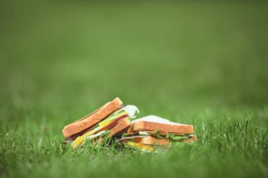 closeup shot of two sandwiches on green grass  clipart