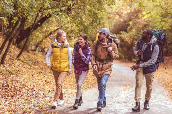 Felices mochileros jóvenes en el bosque - foto de stock