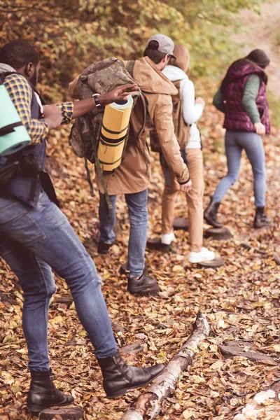 Amigos mochileros en bosque de otoño - foto de stock