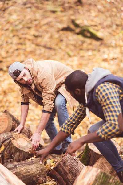 Hombres jóvenes cerca de tocones secos en el bosque - foto de stock