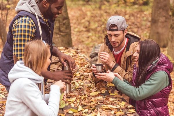 Freunde schenken Heißgetränk im Wald ein — Stockfoto