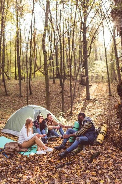 Young friends travelers in forest — Stock Photo