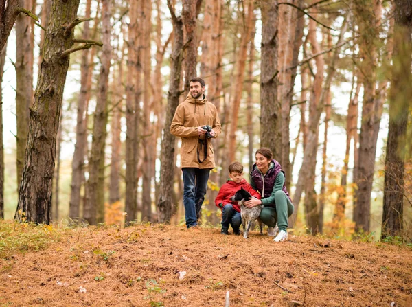 Mulher e menino brincando com cão na floresta — Fotografia de Stock