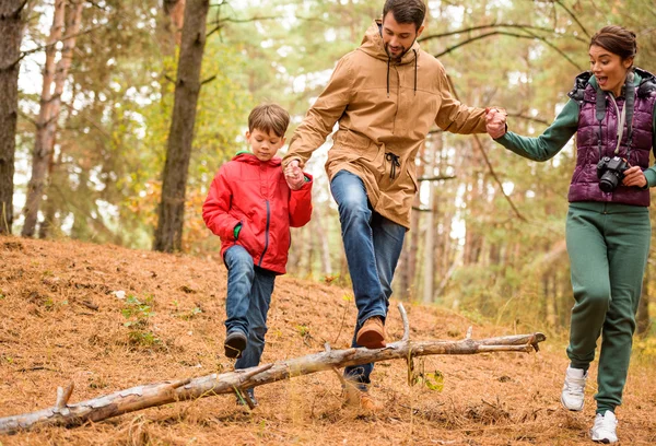 Family walking in autumn forest — Stock Photo