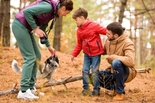 Счастливая семья с собакой в лесу — стоковое фото