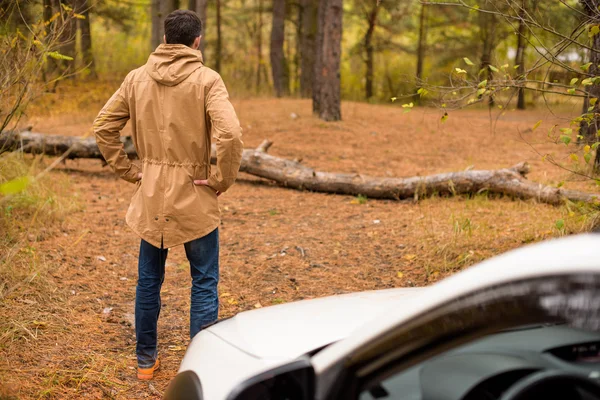 Uomo in piedi vicino auto e albero caduto — Foto stock