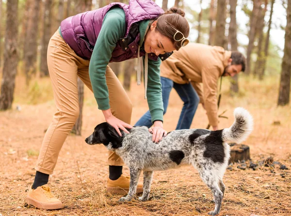 Smiling woman stroking dog in forest — Stock Photo