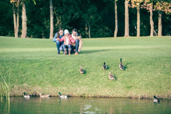 Família feliz olhando para patos no parque — Fotografia de Stock