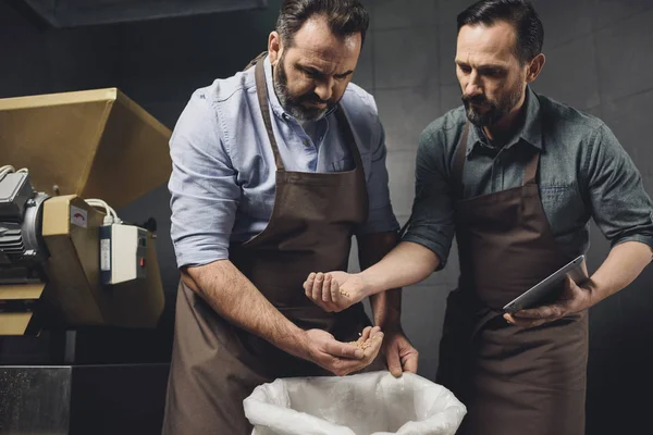 Brewery workers inspecting grains — Stock Photo