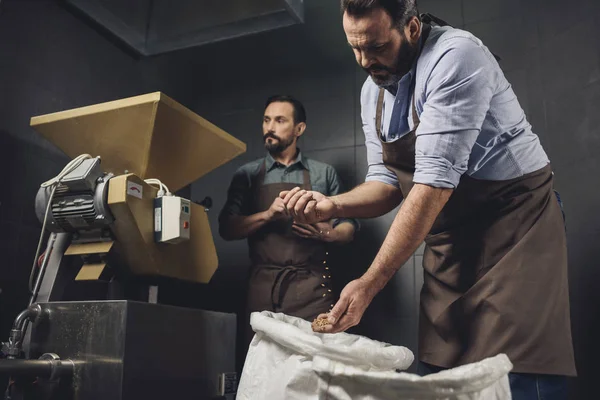 Brewery workers inspecting grains — Stock Photo