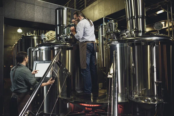 Brewers working with tanks — Stock Photo