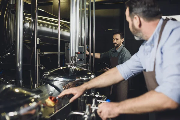 Cerveceros que trabajan con equipos - foto de stock