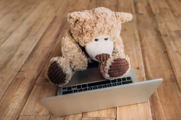 Плюшевий ведмідь і ноутбук — стокове фото