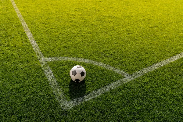 Pelota de fútbol en la hierba - foto de stock