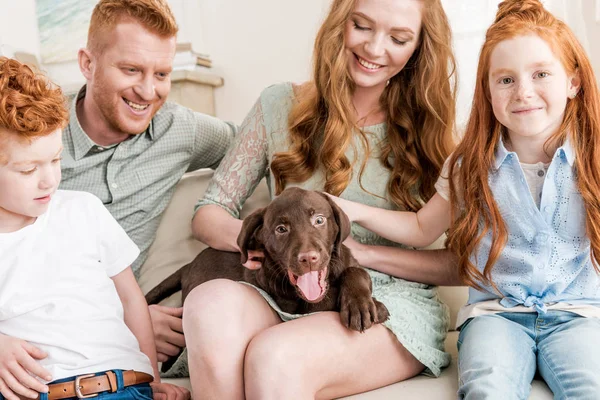 Família brincando com filhote de cachorro — Fotografia de Stock