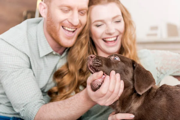 Couple playing with puppy — Stock Photo
