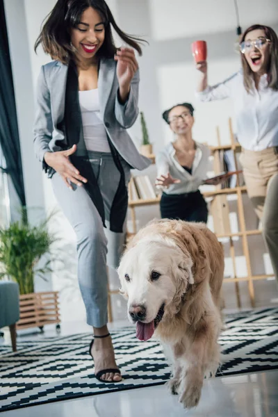 Geschäftsfrau mit Hund im Büro — Stockfoto