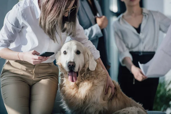 Empresária brincando com cachorro — Fotografia de Stock