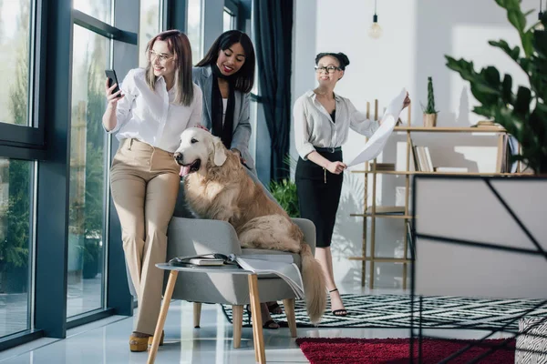 Geschäftsfrau mit Hund im Büro — Stockfoto
